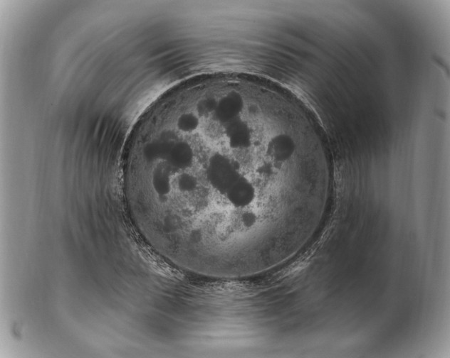 X0000102810879200808181221