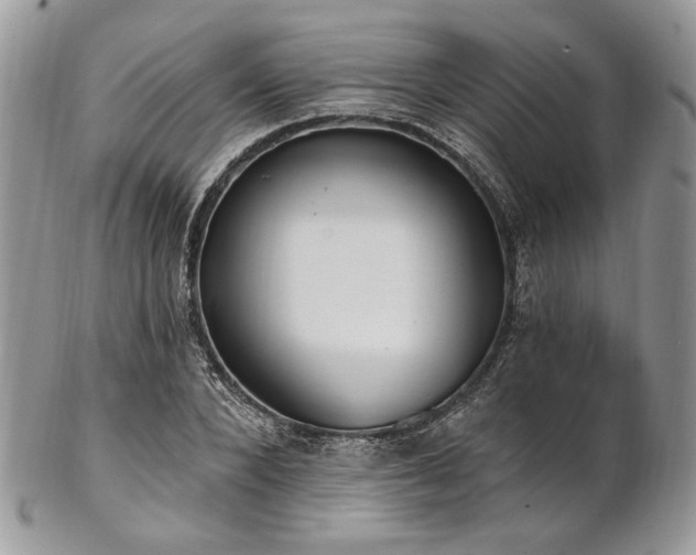 X0000102810880200808181221