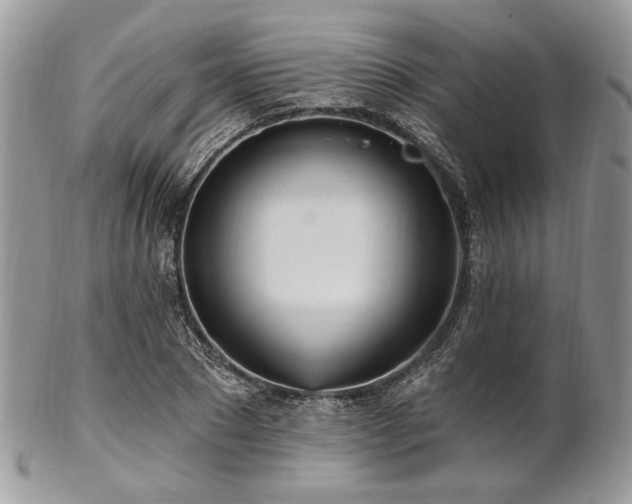 X0000102810881200808181221