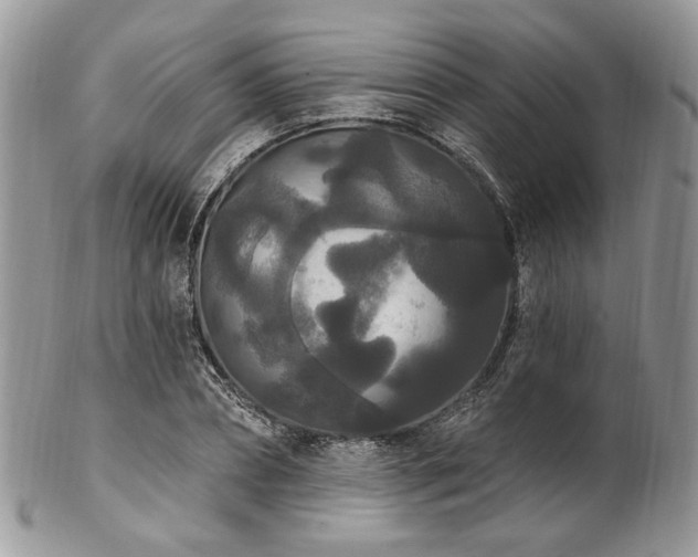 X0000102810882200808181221