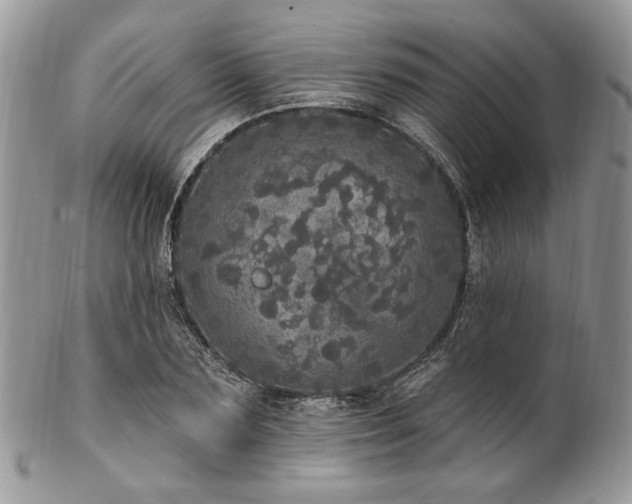 X0000102810883200808181221