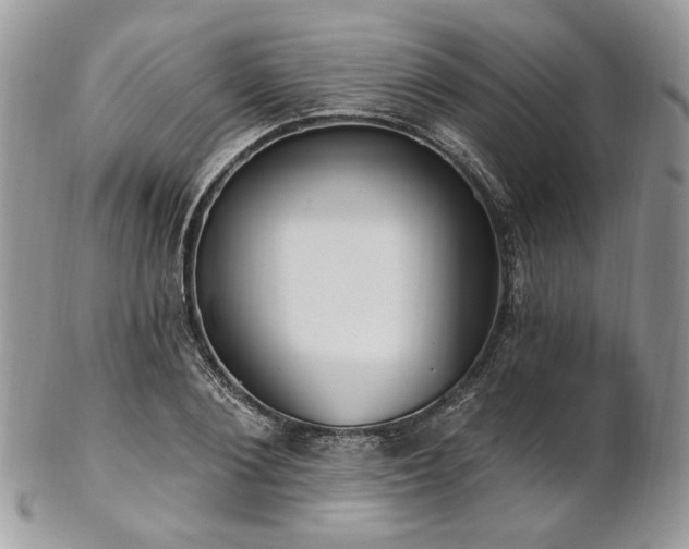 X0000102810884200808181221