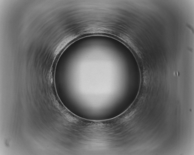 X0000102810885200808181221