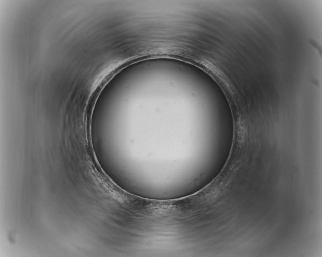 X0000102810886200808181221