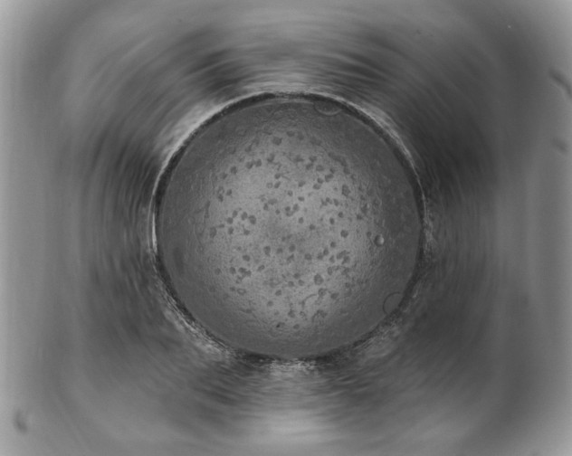 X0000102810887200808181221