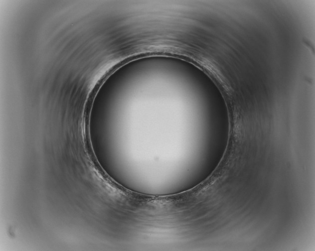 X0000102810888200808181221