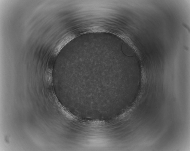 X0000102810889200808181221