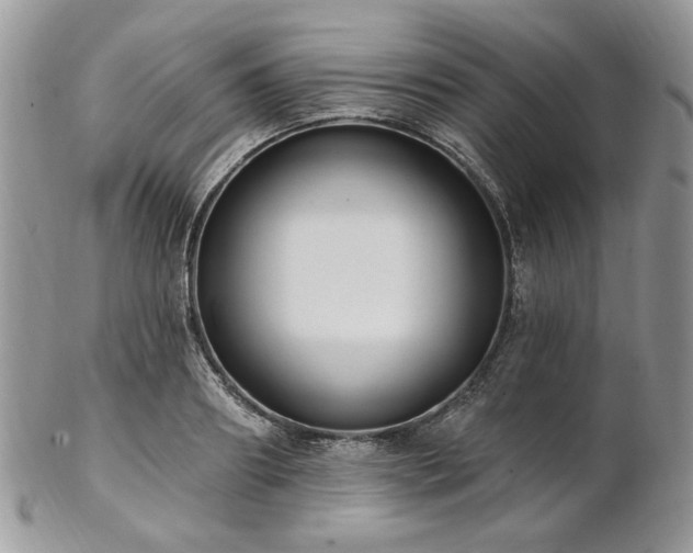 X0000102810890200808181221