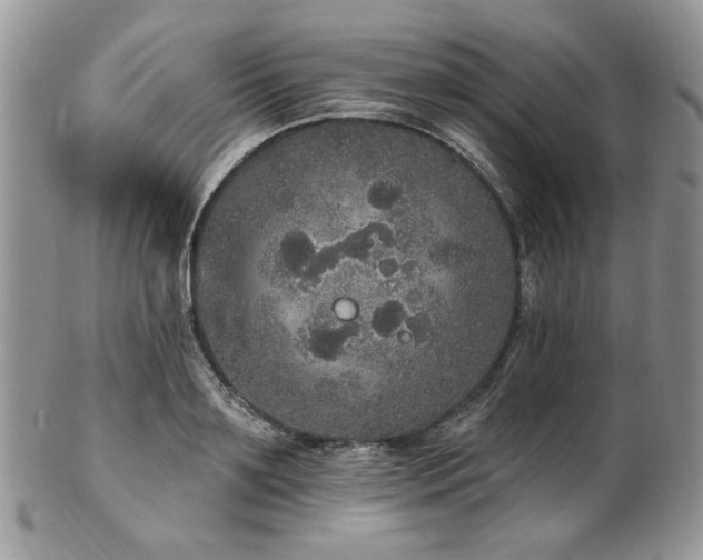 X0000102810891200808181221