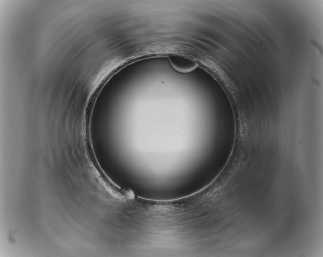 X0000102810894200808181221