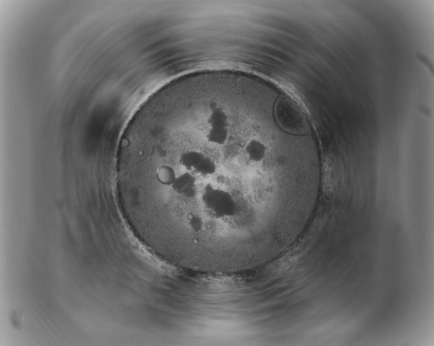 X0000102810895200808181221