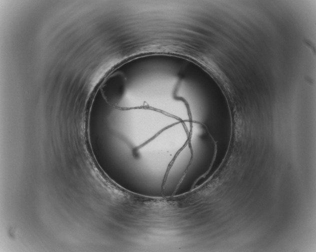 X0000102810896200808181221