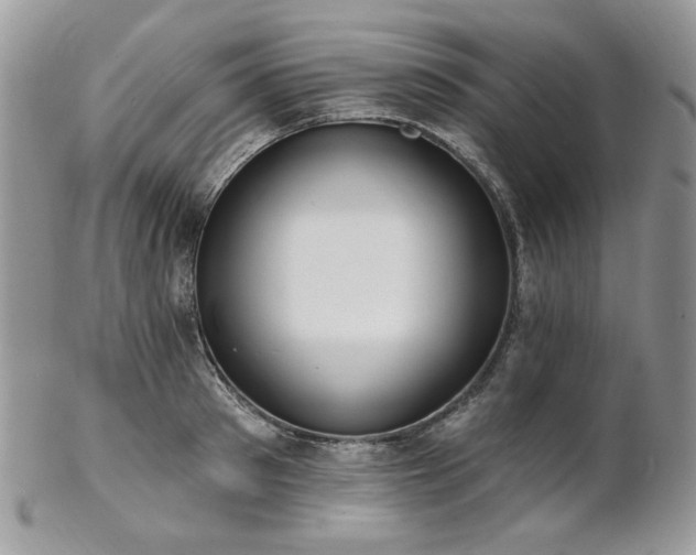 X0000102810897200808181221