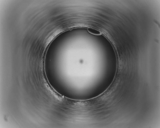 X0000102810898200808181221