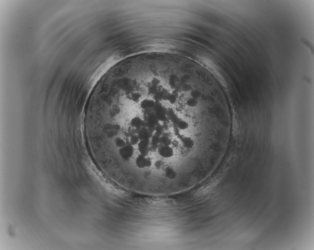 X0000102810899200808181221