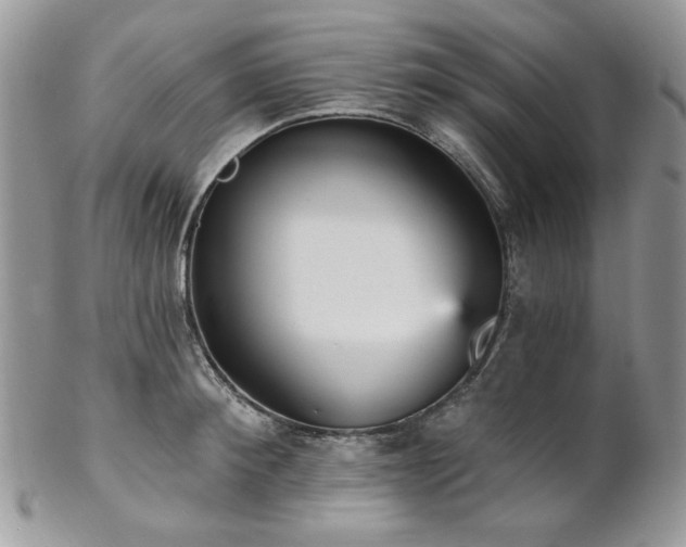 X0000102810900200808181221