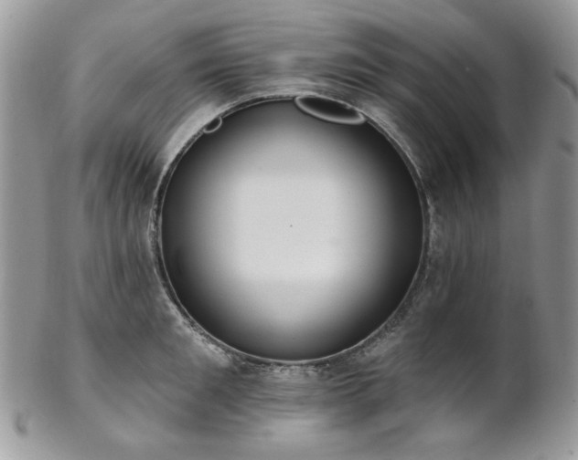 X0000102810901200808181221