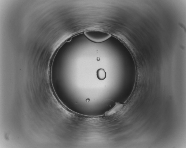 X0000102810902200808181221