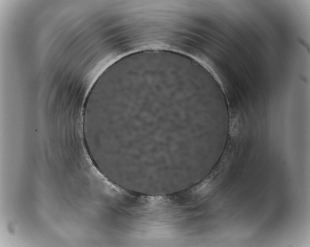 X0000102810903200808181221