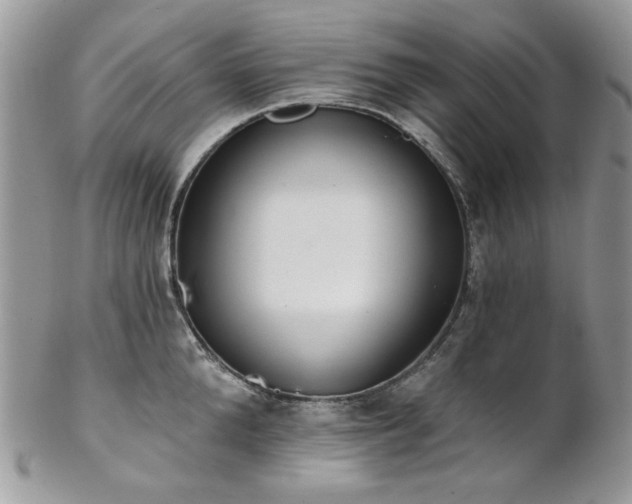 X0000102810904200808181221