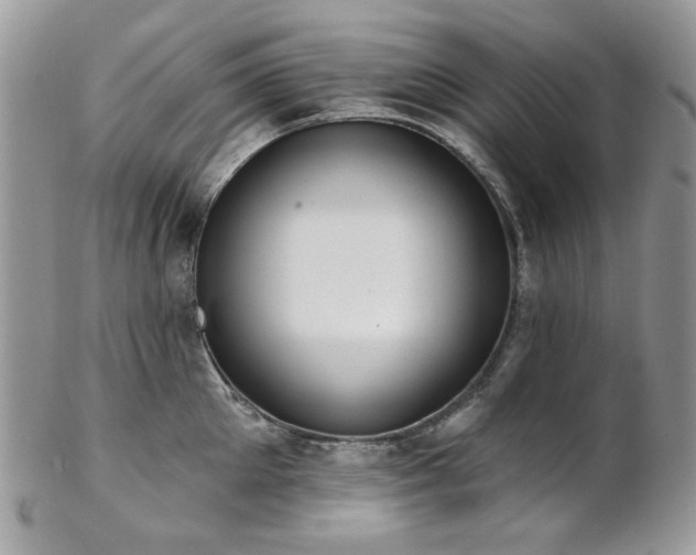 X0000102810905200808181221