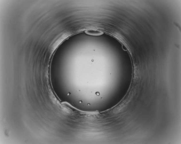 X0000102810906200808181220