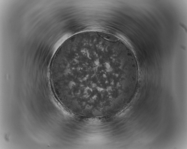 X0000102810907200808181220