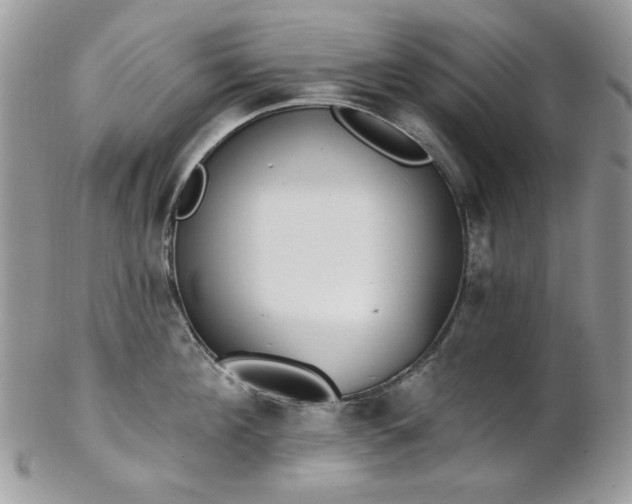 X0000102810908200808181220