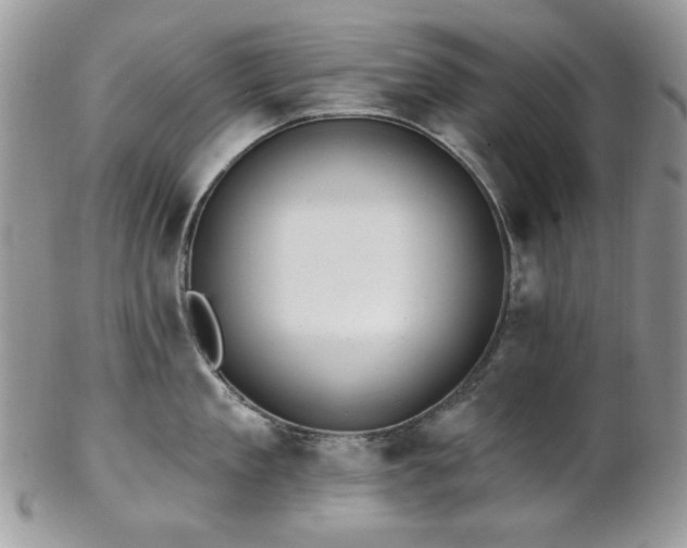 X0000102810909200808181220