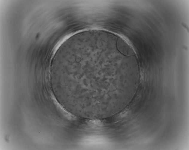 X0000102810911200808181220