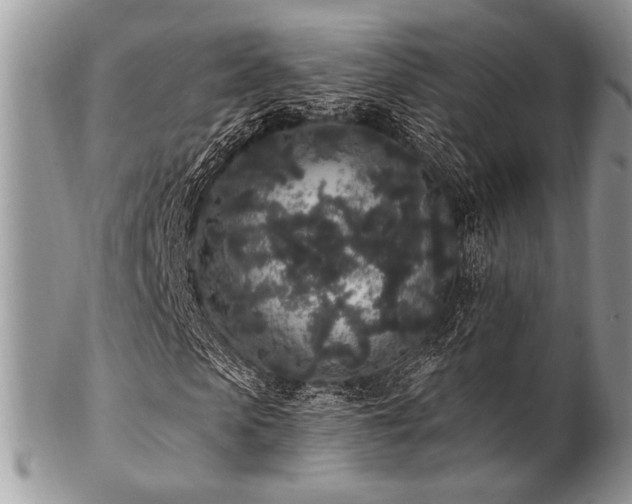 X0000102810913200808181220