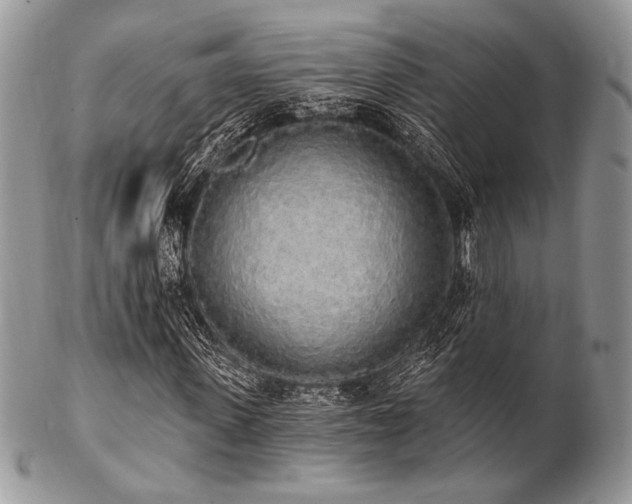 X0000102810915200808181220