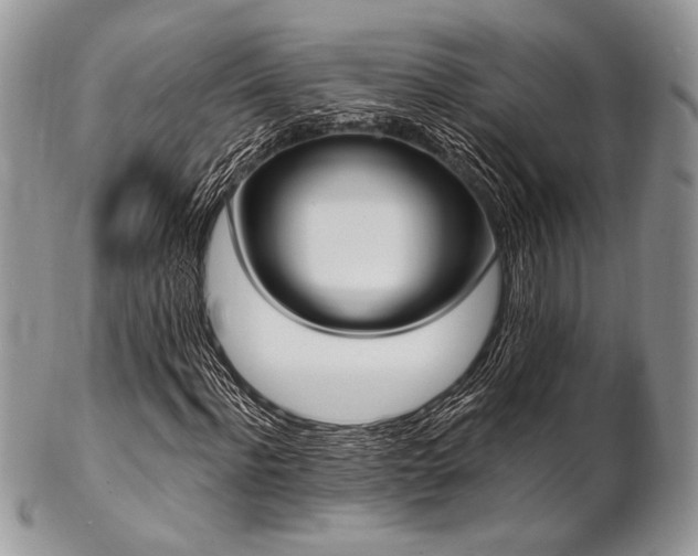 X0000102810916200808181220