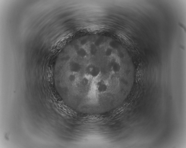 X0000102810917200808181220