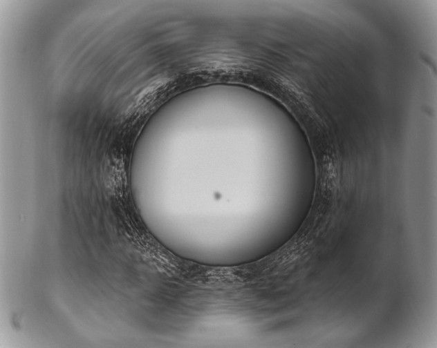 X0000102810918200808181220