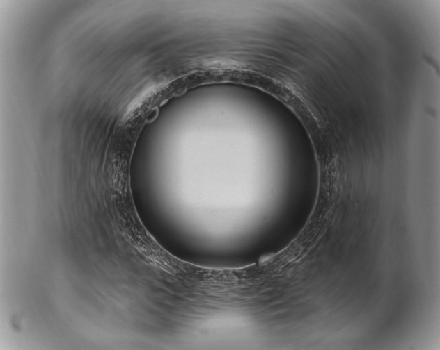 X0000102810919200808181220