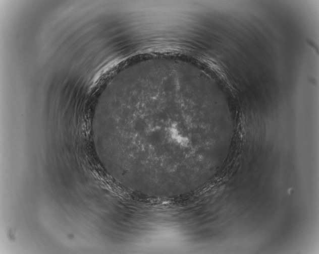 X0000102810920200808181220