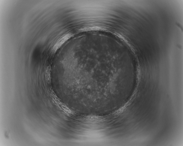 X0000102810921200808181220