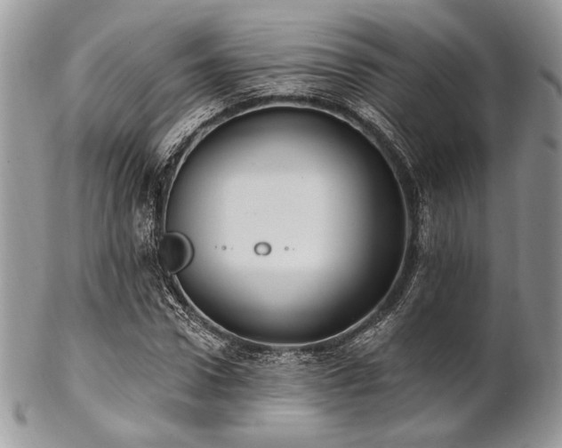 X0000102810922200808181220