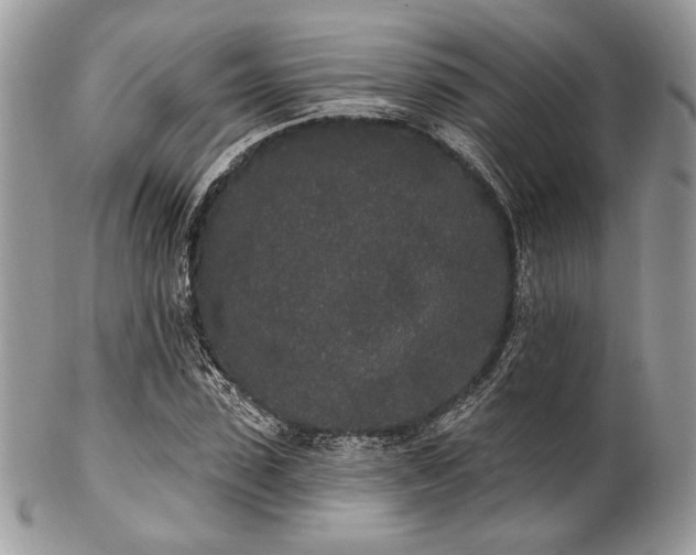 X0000102810923200808181220