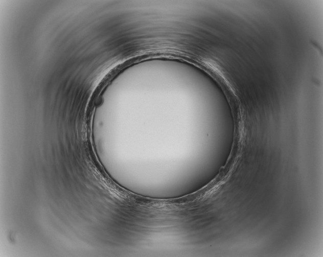 X0000102810924200808181220