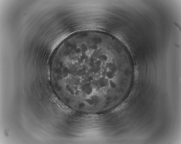 X0000102810925200808181220