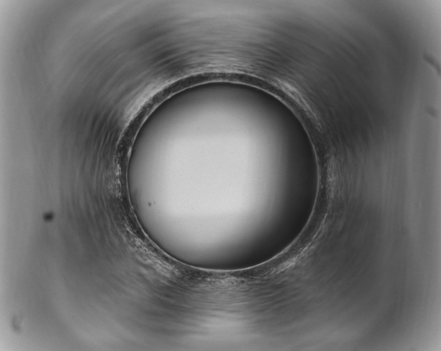 X0000102810926200808181220