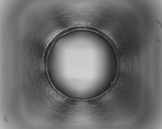 X0000102810927200808181220