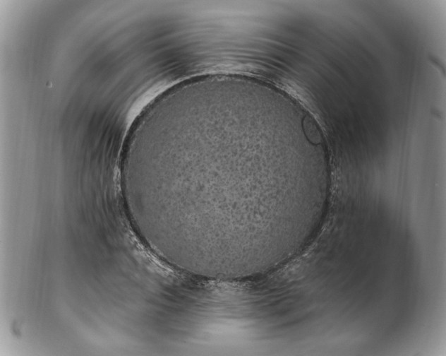 X0000102810928200808181220