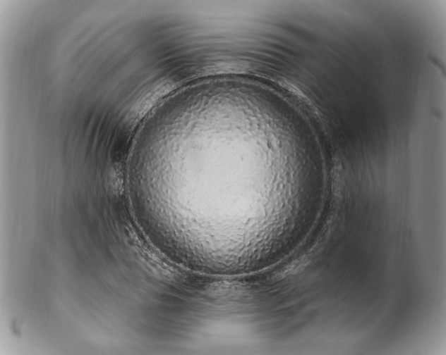 X0000102810929200808181220