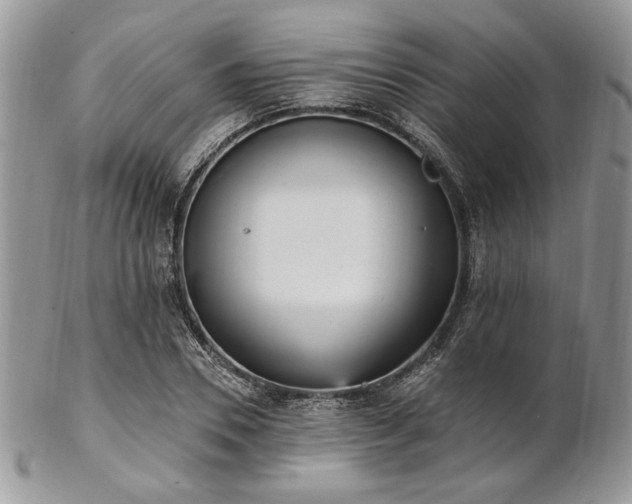 X0000102810930200808181220