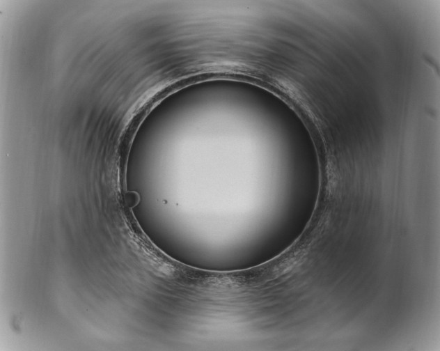 X0000102810931200808181220