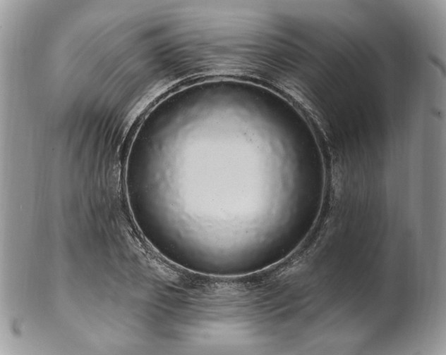 X0000102810933200808181220