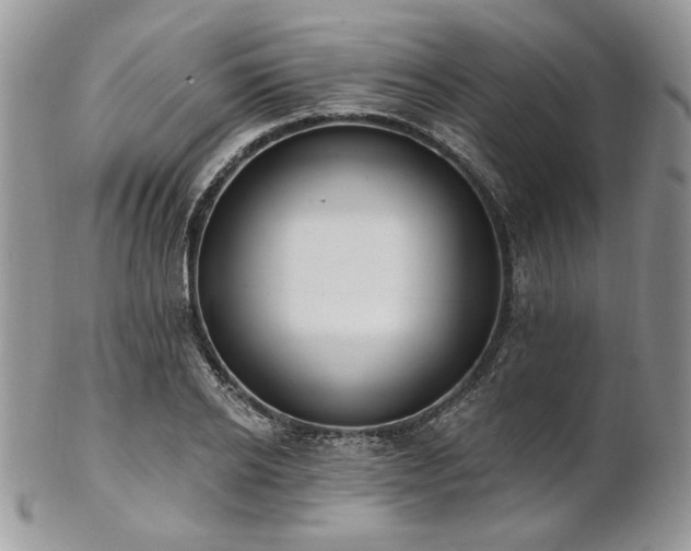 X0000102810934200808181220